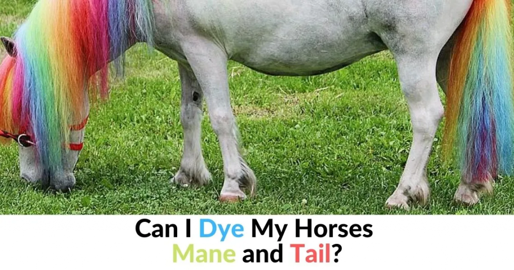 can-i-dye-my-horses-mane-and-tail-horse-breeds-list